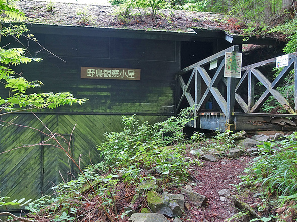 野鳥観察小屋