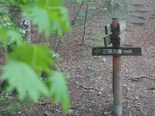 ムシカリ峠