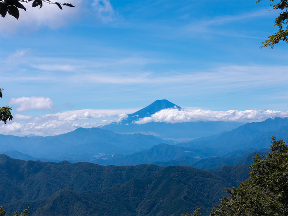 大沢山から望む富士山