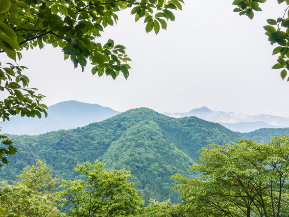 三頭山「探鳥の路」中間地点の展望台からの眺望