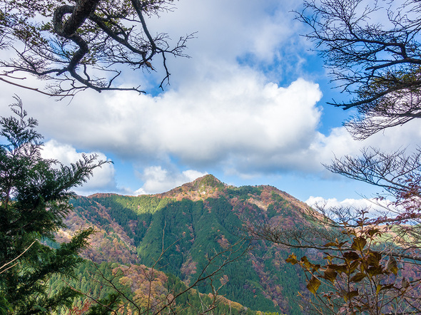 馬頭刈尾根から大岳山を望む