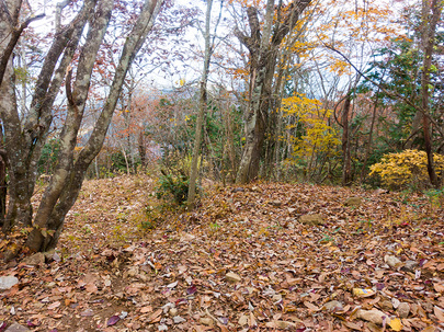 大岳山頂の広い休憩スポット