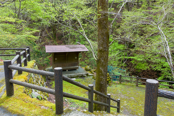 トチノキ広場のトイレ