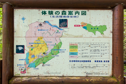トチノキ広場 体験の森案内図