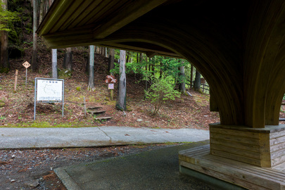 トチノキ広場 登山口