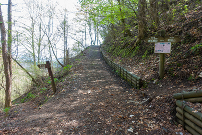 林道をショートカットする登山道