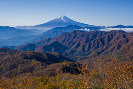 雁ケ腹摺山山頂手前の山道から撮影(2022年11月3日)