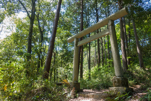 八王子神社の鳥居