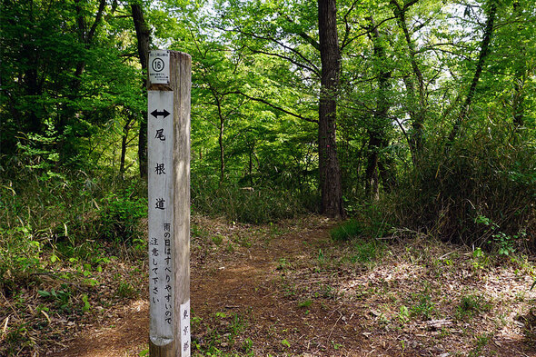 八国山尾根道の標柱