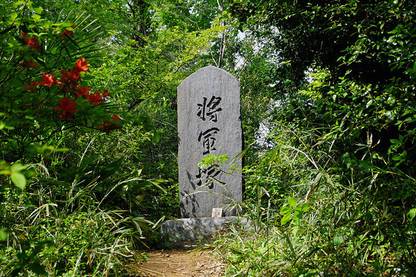 八国山 将軍塚