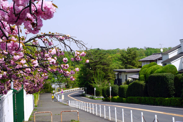 西武園南側の緑豊かな街並み