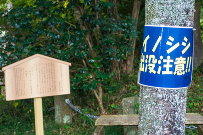イノシシ出没注意の看板