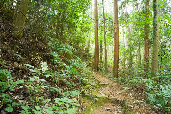 山道