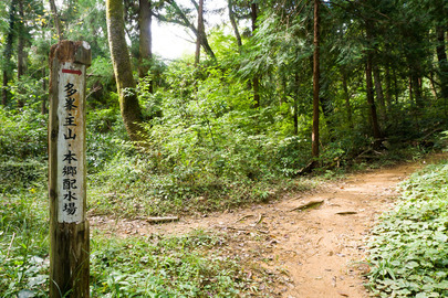 山道 分岐