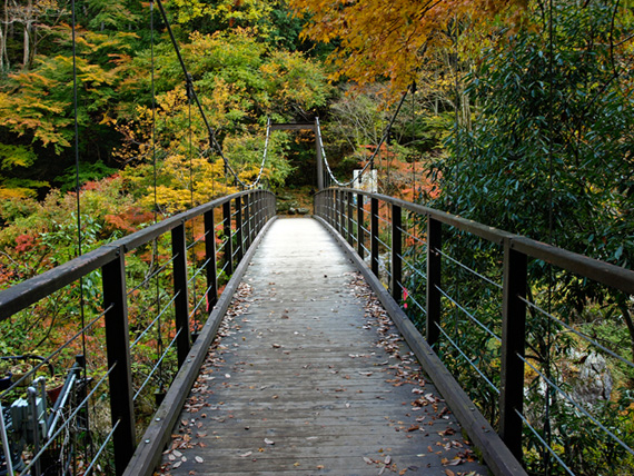 鳩ノ巣渓谷吊り橋と紅葉