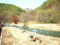 白神山地の川