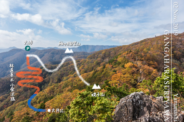 紅葉の雁ケ腹摺山＆姥子山