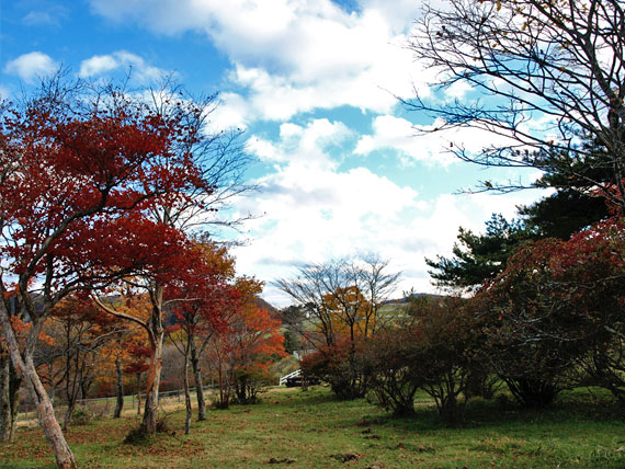 霧降高原大笹牧場の紅葉