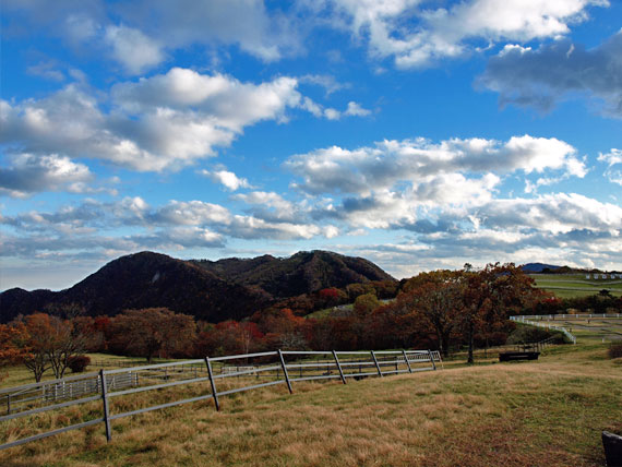 紅葉する霧降高原の山々