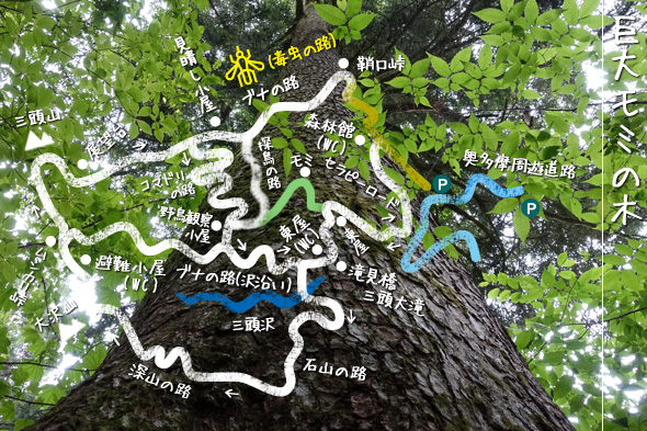 かおりの路MAP