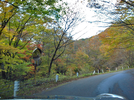 紅葉の美しい県道245号線