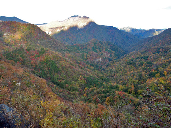 県道245号線からの紅葉風景