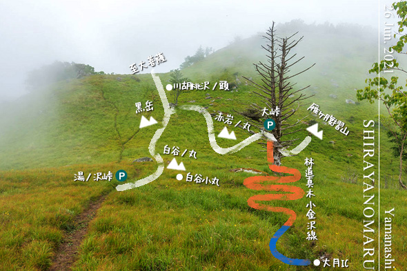 霧が立ち込める夏の白谷ノ丸