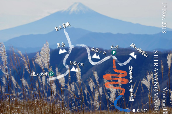 白谷ノ丸から望む富士山