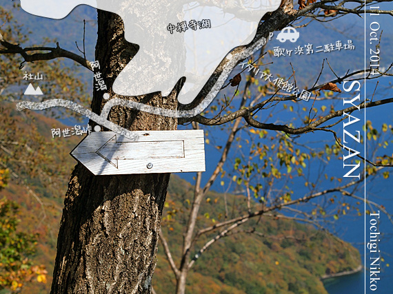 中禅寺湖～社山レポート