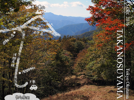 色づき始める鷹ノ巣山