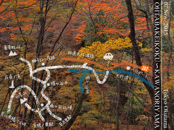 紅葉の大丹波～川苔山