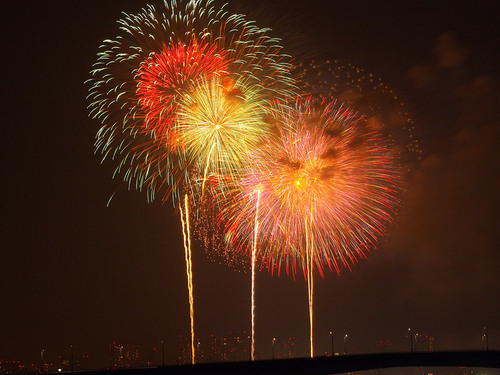 2013年 東京湾大華火祭 写真6