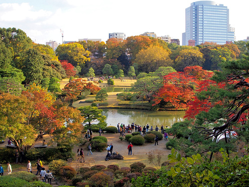 紅葉の六義園