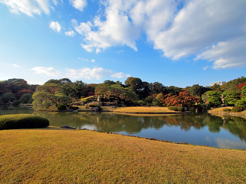 紅葉の六義園3