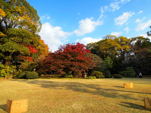 紅葉の六義園5