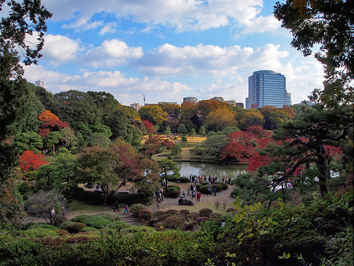 紅葉の六義園6