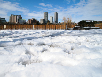 雪の上野公園