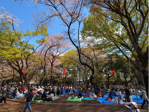 清水観音堂横の広場での宴会の様子