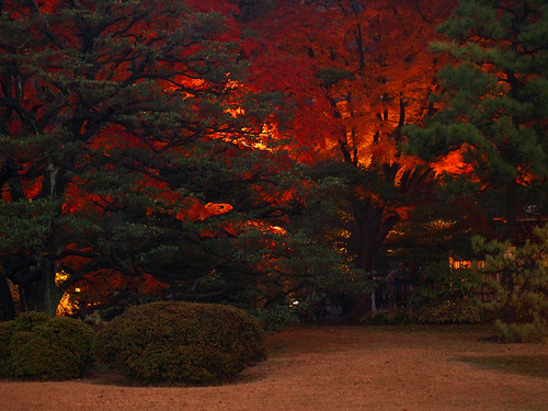 六義園5