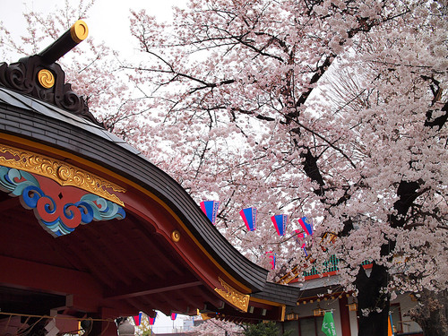 神田明神と桜