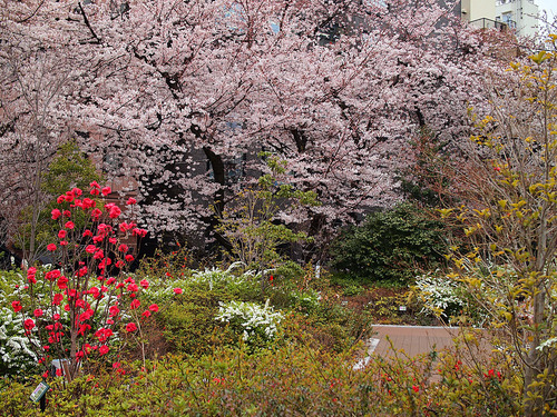 屋上庭園