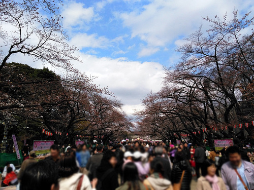 2016年3月27日の上野公園2