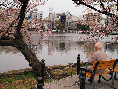 2016年4月2日の上野公園8