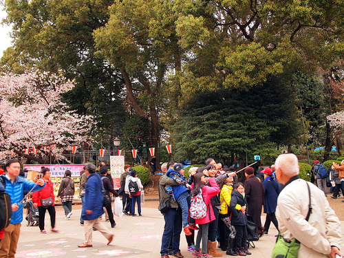 2016年4月2日の上野公園10