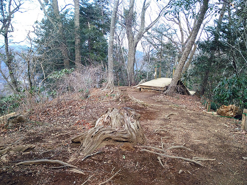 木下沢梅林・高尾山周遊12