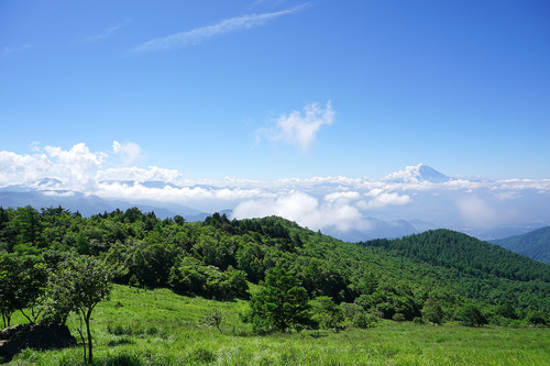 SONY E PZ 16-50mmで撮った写真1