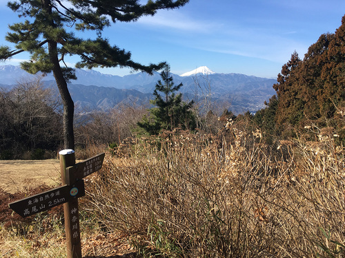 城山から富士山の眺望