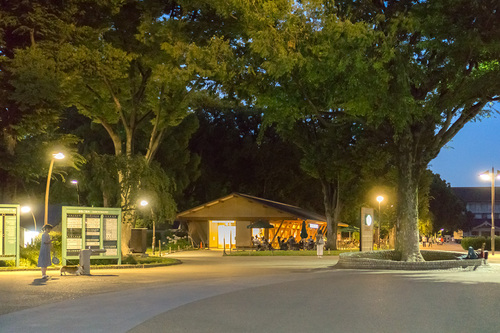 2018年7月1日夜の上野公園3