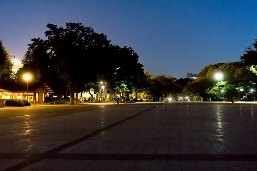 2018年7月1日夜の上野公園5