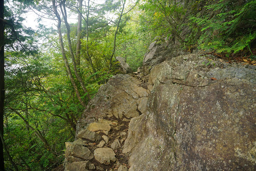 滑落注意の山道